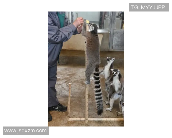 北方熊与班克斯顿熊的激烈对决谁将成为森林之王