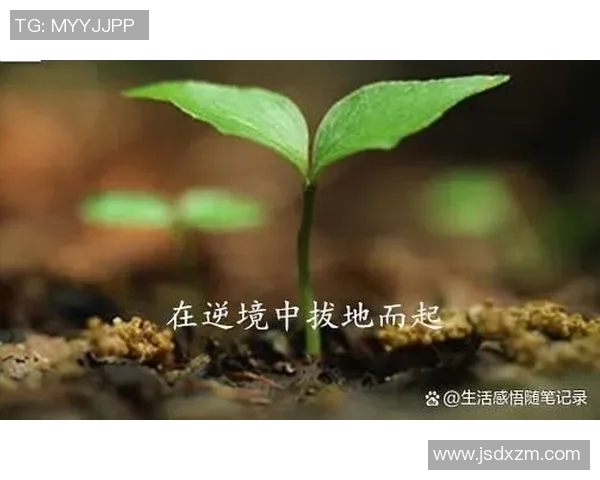 吕俊虎的奋斗故事与人生哲学探讨如何在逆境中成长与成功