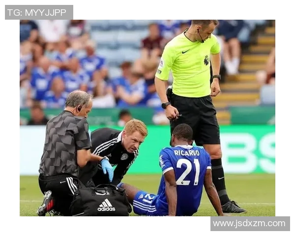 曼联与莱斯特城比赛裁判表现分析及争议判罚回顾