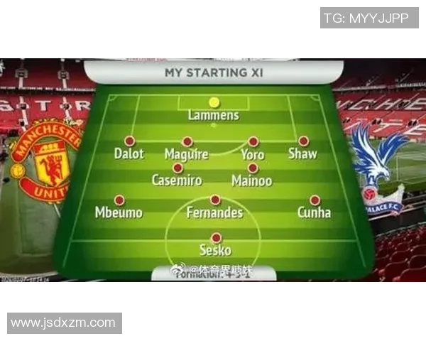 水晶宫与曼联对决分析全方位解读比赛战术与球员表现